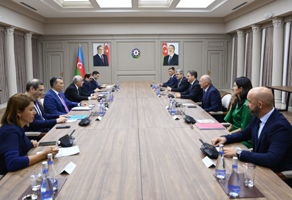 Azərbaycan ilə Serbiya arasında əməkdaşlığın inkişaf perspektivləri müzakirə olunub